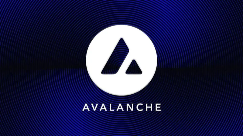 Avalanche blockchain, the new home for Progmat's tokenized securities