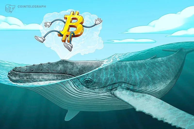 Bitcoin long-term holder activity illustration