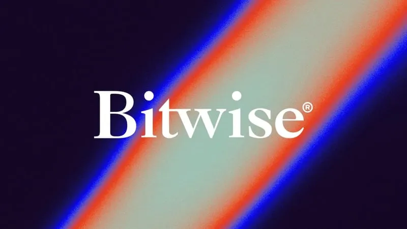 Bitwise research branding on a report about onchain network activity