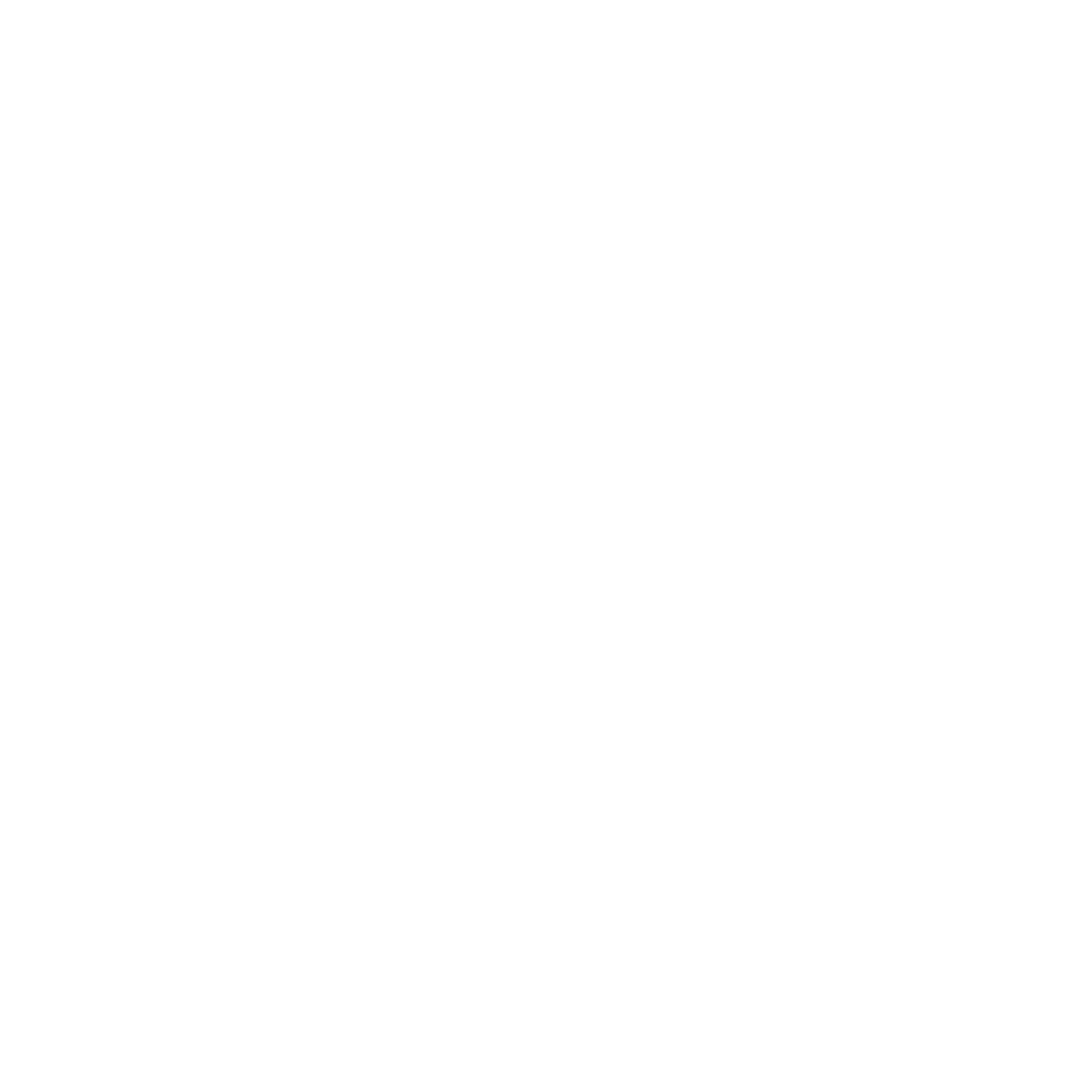 Zypster Logo ~ White