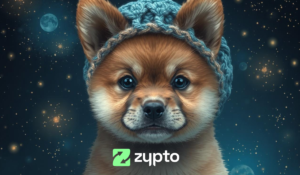 Top 7 Meme Coins and Tokens