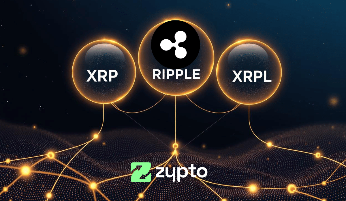 Ripple vs XRP vs XRPL: Understand the Difference & The Best Wallet