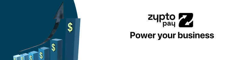 Zypto Crypto Business Solutions - Payments, Custody and Development